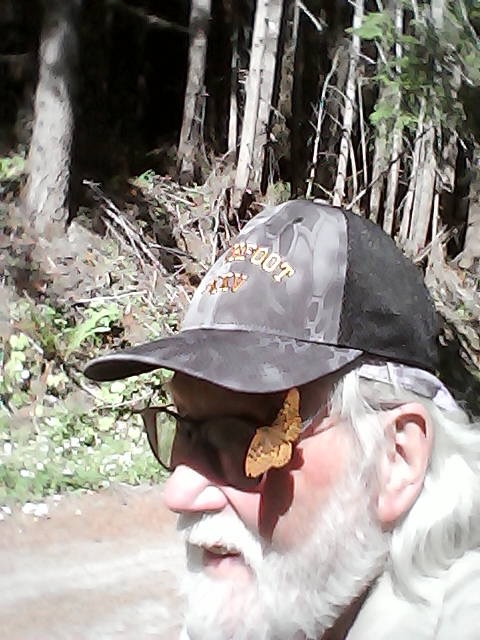 Bob w/ Butterfly.